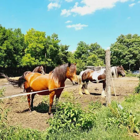 Holdfeny Farm Haz